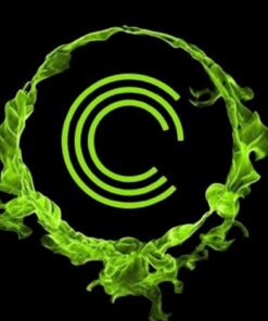 Logo corpo dez